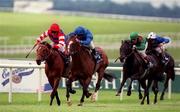 27 May 2001; Eventual winnner, Fantastic Light, with Mick Kinane up, leads Golden Snake, with Pat Eddery up, during the Tattersalls Gold Cup at The Curragh Racecourse in Kildare. Photo by Aoife Rice/Sportsfile
