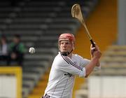 28 March 2010; James Skehill, Galway. Allianz GAA Hurling National League, Division 1, Round 5, Kilkenny v Galway, Nowlan Park, Kilkenny. Picture credit: Ray McManus / SPORTSFILE