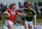 3 April 2016; Paul Kerrigan, Cork, in action against Padraig O'Connor, Kerry. Allianz Football League, Division 1,  Round 7, Kerry v Cork. Austin Stack Park, Tralee. Picture credit: Piaras Ó Mídheach / SPORTSFILE