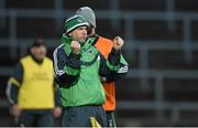6 April 2016; Limerick manager Pat Donnelly celebrates after Josh Ryan scored their second goal. Electric Ireland Munster GAA Hurling Minor Championship, Quarter-Final, Limerick v Clare. Gaelic Grounds, Limerick. Picture credit: Diarmuid Greene / SPORTSFILE