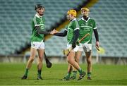 6 April 2016; Limerick's Conor Boylan, Cian Magnier Flynn and Brian Ryan after victory over Clare. Electric Ireland Munster GAA Hurling Minor Championship, Quarter-Final, Limerick v Clare. Gaelic Grounds, Limerick. Picture credit: Diarmuid Greene / SPORTSFILE