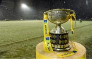 9 April 2016; The FAI Junior Cup sits on the sideline after the match was abandoned due to deteriorating conditions. FAI Junior Cup Semi-Final in association with Aviva and Umbro, St. Peters FC v Pike Rovers. Leah Victoria Park, Tullamore, Co. Offaly. Picture credit: Brendan Moran / SPORTSFILE
