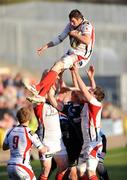 16 April 2010; Ulster's Ryan Caldwell wins possession in a line-out. Celtic League, Glasgow Warriors v Ulster. Firhill Arena, Glasgow, Scotland. Picture credit: Dave Gibson / SPORTSFILE