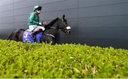 10 April 2016; Jockey Pat Smullen makes his way out to the racecourse ahead of winning the P.W. McGrath Memorial Ballysax Stakes on Harzand. Leopardstown, Co. Dublin. Picture credit: Ramsey Cardy / SPORTSFILE