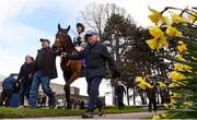 10 April 2016; Laganore, with Fran Barry up, is led into the winners enclosure after winning the Leopardstown Summer Membership Handicap. Leopardstown, Co. Dublin. Picture credit: Ramsey Cardy / SPORTSFILE