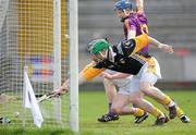 18 April 2010; Antrim's goalkeeper Chris O'Connell and Barry McFall fail to stop Rory Jacob's goal bound shot crossing the line for Wexford's first goal of the game. Allianz GAA Hurling National League, Division 2, Round 7, Wexford v Antrim, Wexford Park, Wexford. Picture credit: Matt Browne / SPORTSFILE