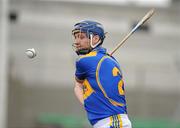 18 April 2010; Paddy Stapleton, Tipperary. Allianz GAA Hurling National League  Division 1 Round 7, Offaly v Tipperary, O'Connor Park, Tullamore, Co. Tipperary. Picture credit: David Maher / SPORTSFILE