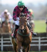 21 April 2010; Sivota, with Emmet Mullins up, on their way to winning The Martinstown Opportunity Series Final Handicap Hurdle after jumping the last. Punchestown Racing Festival, Punchestown, Co. Kildare. Picture credit: Matt Browne / SPORTSFILE