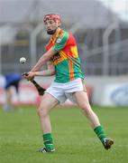 18 April 2010; Denis Murphy, Carlow. Allianz GAA Hurling National League, Division 2, Round 7, Carlow v Laois, Dr Cullen Park, Carlow. Picture credit: Brian Lawless / SPORTSFILE