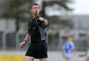 18 April 2010; Referee Tony Carroll. Allianz GAA Hurling National League, Division 2, Round 7, Carlow v Laois, Dr Cullen Park, Carlow. Picture credit: Brian Lawless / SPORTSFILE