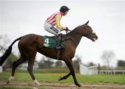 20 April 2010; One In A Milan, with Jack Tyner up, before the start of the Goffs Land Rover Bumper. Punchestown Racing Festival, Punchestown, Co. Kildare. Picture credit: Pat Murphy / SPORTSFILE