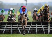 22 April 2010; Quevega, with Paul Townend up, jump the last on their way to winning The Ladbrokes.com World Series Hurdle. Punchestown Racing Festival, Punchestown, Co. Kildare. Picture credit: Matt Browne / SPORTSFILE