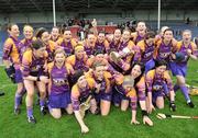 24 April 2010; The Wexford team celebrate with the cup. Division 1 Camogie National League Final, Offaly v Wexford, Semple Stadium, Thurles, Co. Tipperary. Picture credit: Brian Lawless / SPORTSFILE