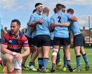 16 April 2016; UCD players celebrate their second try scored by Peadar Timmins, as Rob McGrath, Clontarf, reacts. Ulster Bank League Division 1A, Final Round, Clontarf v UCD. Castle Avenue, Clontarf, Dublin. Picture credit: Cody Glenn / SPORTSFILE