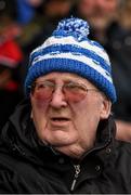 17 April 2016; Waterford supporter Pat Langan, from Grange, Addmore, before the game. Allianz Hurling League, Division 1, semi-final, Waterford v Limerick. Semple Stadium, Thurles, Co. Tipperary. Picture credit: Ray McManus / SPORTSFILE