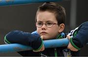 17 April 2016; Five year old Ciarán Lees, from Garryspillane, Co. Limerick, watches the game. Allianz Hurling League, Division 1, semi-final, Waterford v Limerick. Semple Stadium, Thurles, Co. Tipperary. Picture credit: Ray McManus / SPORTSFILE