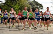 17 April 2016; A general view during the start of the Master Men's relay race during the Glo Health AAI National Road Relays. Raheny, Dublin. Picture credit : Tomás Greally / SPORTSFILE
