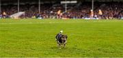 17 April 2016; A dog leaves the field during the game. Allianz Hurling League Division 1 Semi-Final, Kilkenny v Clare. Semple Stadium, Thurles, Co. Tipperary. Picture credit: Stephen McCarthy / SPORTSFILE