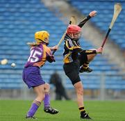 24 April 2010; Jacqui Frisby, Kilkenny, in action against Lenny Holohan, Wexford. Division 1 Camogie National League Final, Offaly v Wexford, Semple Stadium, Thurles, Co. Tipperary. Picture credit: Brian Lawless / SPORTSFILE