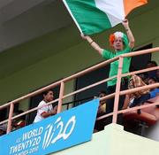 30 April 2010; An Irish supporter looks on. 2010 Twenty20 Cricket World Cup Group Stages, Ireland v West Indies, Providence Stadium, Guyana. Picture credit: Handout / Barry Chambers / RSA / Cricket Ireland Via SPORTSFILE