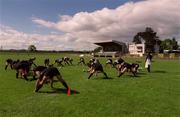 29 May 2001; A general view during an Ireland Rugby Training Session at Dr. Hickey Park in Greystones, Wicklow. Photo by Aoife Rice/Sportsfile