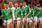 27 May 2001; Limerick captain Barry Foley leads his team during the pre-match parade ahead of the Guinness Munster Senior Hurling Championship Quarter-Final match between Cork and Limerick at Páirc Uí Chaoimh in Cork. Photo by Ray McManus/Sportsfile