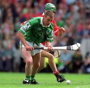 27 May 2001; Ciaran Carey of Limerick during the Guinness Munster Senior Hurling Championship Quarter-Final match between Cork and Limerick at Páirc Uí Chaoimh in Cork. Photo by Ray McManus/Sportsfile