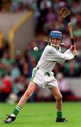 27 May 2001; Limerick goalkeeper Nickie Quaid playing in the Primary Schools game at half-time during the All-Ireland Intermediate Hurling Championship match between Cork and Limerick at Páirc Uí Chaoimh in Cork. Photo by Ray McManus/Sportsfile