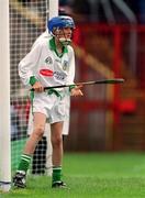 27 May 2001; Limerick goalkeeper Nickie Quaid playing in the Primary Schools game at half-time during the All-Ireland Intermediate Hurling Championship match between Cork and Limerick at Páirc Uí Chaoimh in Cork. Photo by Ray McManus/Sportsfile
