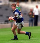 27 May 2001; Brian McDonald of Laois during the Bank of Ireland Leinster Senior Football Championship Quarter-Final match between Offaly and Laois at Croke Park in Dublin. Photo by Damien Eagers/Sportsfile