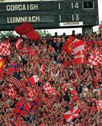 27 May 2001; Cork supporters during the Guinness Munster Senior Hurling Championship Quarter-Final match between Cork and Limerick at Páirc Uí Chaoimh in Cork. Photo by Ray McManus/Sportsfile