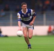 27 May 2001; Ian Fitzgerald of Laois during the Bank of Ireland Leinster Senior Football Championship Quarter-Final match between Offaly and Laois at Croke Park in Dublin. Photo by Damien Eagers/Sportsfile