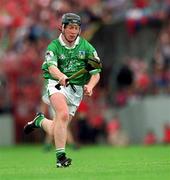 27 May 2001; James Butler of Limerick during the Guinness Munster Senior Hurling Championship Quarter-Final match between Cork and Limerick at Páirc Uí Chaoimh in Cork. Photo by Ray McManus/Sportsfile