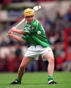 27 May 2001; Mark Tobin of Limerick during the Guinness Munster Senior Hurling Championship Quarter-Final match between Cork and Limerick at Páirc Uí Chaoimh in Cork. Photo by Ray McManus/Sportsfile