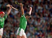 10 June 2001; Brian Begley of Limerick celebrates after scoring his side's third goal during the Guinness Munster Senior Hurling Championship Semi-Final match between Limerick and Waterford at Páirc Uí Chaoimh in Cork. Photo by Brendan Moran/Sportsfile