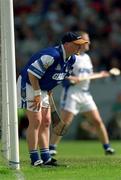 10 June 2001; Brendan Landers of Waterford during the Guinness Munster Senior Hurling Championship Semi-Final match between Limerick and Waterford at Páirc Uí Chaoimh in Cork. Photo by Brendan Moran/Sportsfile