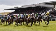 28 April 2016; A general view of the field in the JLT Handicap Hurdle. Punchestown, Co. Kildare. Picture credit: Cody Glenn / SPORTSFILE