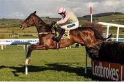 28 April 2016; Douvan, with Ruby Walsh up, clear the last on their way to winning the Ryanair Novice Steeplechase. Punchestown, Co. Kildare. Picture credit: Cody Glenn / SPORTSFILE