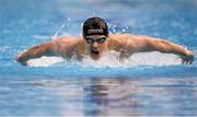28 April 2016; Brendan Hyland, Tallaght SC, on his way to winning the Men's 200m Butterfly A-Final. Irish Open Long Course Swimming Championships, National Aquatic Centre, National Sports Campus, Abbotstown, Dublin. Picture credit: Sam Barnes / SPORTSFILE