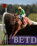 29 April 2016; Shin A Vee, with Jonathan Barry up, jumps the last fence on their way to winning the KFM Hunters Steeplechase for Bishopscourt Cup. Punchestown, Co. Kildare. Picture credit: Seb Daly / SPORTSFILE