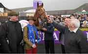 29 April 2016; Winning connections, including Brian Whelan, second left, congratulate each other and horse Avant Tout after winning the EMS Copiers Novice Handicap Steeplechase. Punchestown, Co. Kildare. Picture credit: Seb Daly / SPORTSFILE