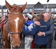 29 April 2016; Steve Massey, a member of the Supreme Horse Racing Club celebrates after Avant Tout, and jockey Paul Townend after winning the EMS Copiers Novice Handicap Steeplechase. Punchestown, Co. Kildare. Picture credit: Cody Glenn / SPORTSFILE