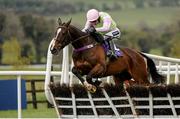 29 April 2016; Vroum Vroum Mag, with Ruby Walsh up, jump the last hurdle on their way to winning the BETDAQ Punchestown Champion Hurdle. Punchestown, Co. Kildare. Picture credit: Seb Daly / SPORTSFILE
