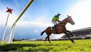29 April 2016; Jer's Girl, with Barry Geraghty up, cross the line to win the Tattersalls Ireland Champion Novice Hurdle. Punchestown, Co. Kildare. Picture credit: Cody Glenn / SPORTSFILE