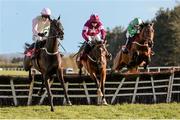 29 April 2016; Koshari, left, with Paul Townend up, jumps the last hurdle alongside Bello Conti, centre, with Bryan Cooper up, and Three Wise Men, right, with Noel Fehily up, on their way to winning the Star Best For Racing Coverage Novice Hurdle. Punchestown, Co. Kildare. Picture credit: Seb Daly / SPORTSFILE
