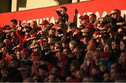 29 April 2016; Munster supporters look on during the first half of the game. Guinness PRO12 Round 21, Munster v Edinburgh. Irish Independent Park, Cork.  Picture credit: Diarmuid Greene / SPORTSFILE