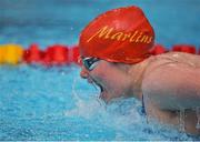 30 April 2016; Roisin Maguire, Marlins, competing in the Women's 100m butterfly preliminary event. Irish Open Long Course Swimming Championships, National Aquatic Centre, National Sports Campus, Abbotstown, Dublin. Picture credit: Cody Glenn / SPORTSFILE