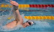30 April 2016; Brendan Gibbons, Athlone, competing in the Men's 400m freestyle preliminary event. Irish Open Long Course Swimming Championships, National Aquatic Centre, National Sports Campus, Abbotstown, Dublin. Picture credit: Cody Glenn / SPORTSFILE