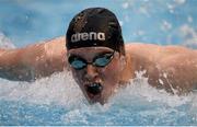 1 May 2016; Conor Brines, Larne SC,  competing in the Men's 100m Butterfly A Final. Irish Open Long Course Swimming Championships, National Aquatic Centre, National Sports Campus, Abbotstown, Dublin. Picture credit: Sam Barnes / SPORTSFILE