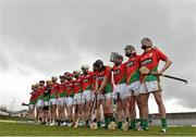 1 May 2016; Carlow players stand for the national anthem. Leinster GAA Hurling Championship Qualifier, Round 1, Kerry v Carlow, Austin Stack Park, Tralee, Co. Kerry. Picture credit: Matt Browne / SPORTSFILE
